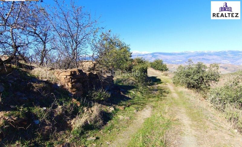 Foto 3e67f293-def9-450c-871f-228e024646aa. Masia a Murtas