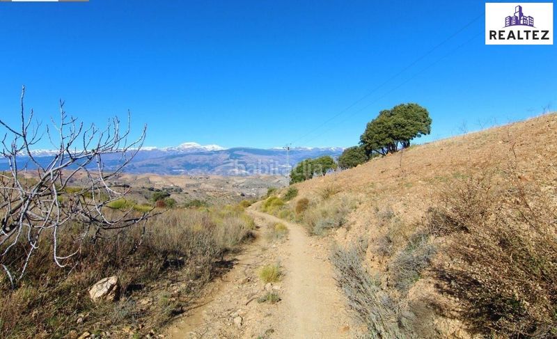 Foto 448a8439-0c95-4d18-b058-0ba1946561fa. Masia a Murtas