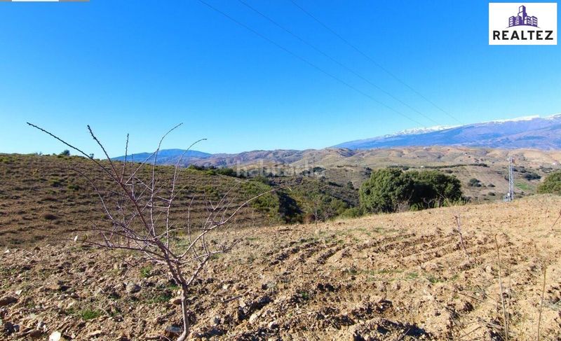 Foto 75ad7011-92dd-4606-8630-0b510d97b225. Masia a Murtas