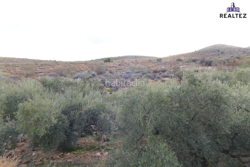 Foto 33707dd9-13fd-4291-b6bf-ebc37085b7bb. Finca rústica a Alcolea