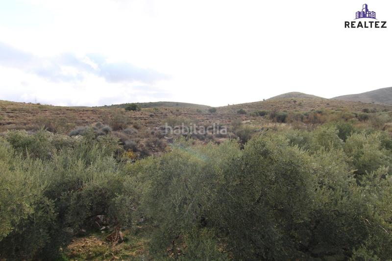 Foto 4dd8df3e-ef57-47f3-b890-5e6e5b93af2f. Finca rústica a Alcolea