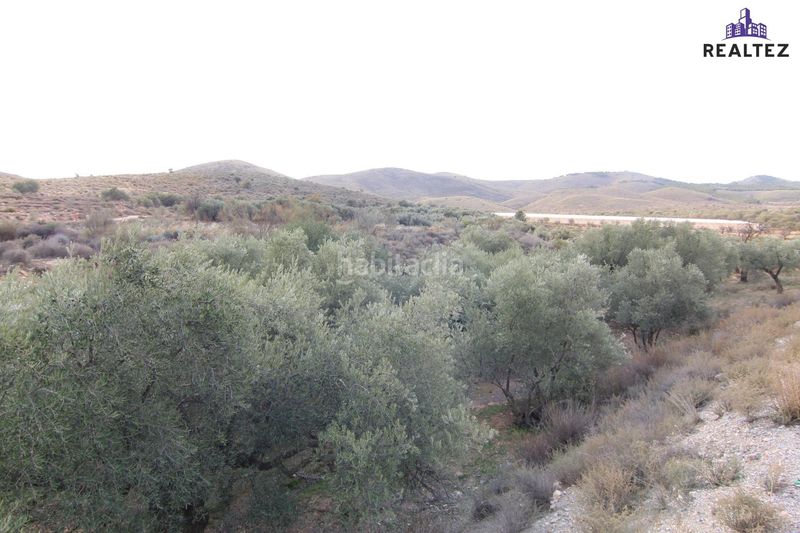 Foto 7ec264f3-012f-411f-80a4-c553f1d6638a. Finca rústica a Alcolea