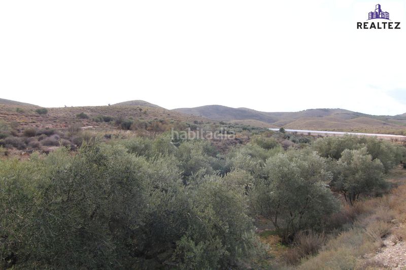 Foto 99b6c524-9d87-4c01-943f-cd6009ea3aad. Finca rústica a Alcolea