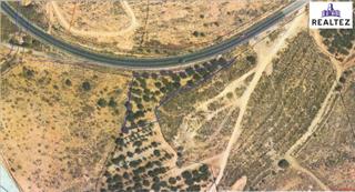 Fondo rustico in Alcolea. Se vende finca de olivos de regadío en alcolea almería