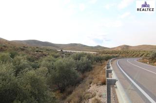 Propriété à Alcolea. Se vende finca de olivos de regadío en alcolea almería