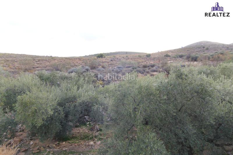 Foto b59f64b4-180a-4390-9a1c-5735321a5380. Finca rústica a Alcolea