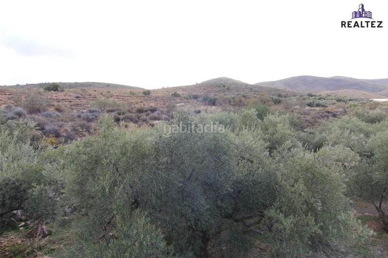Foto c6f5c3b6-dfa1-42f3-ba9c-22c846db6273. Finca rústica a Alcolea