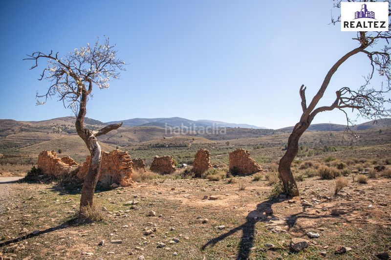 Foto ce228ade-aa59-4e51-9315-7f58b8717d54. Finca rústica a Alcolea