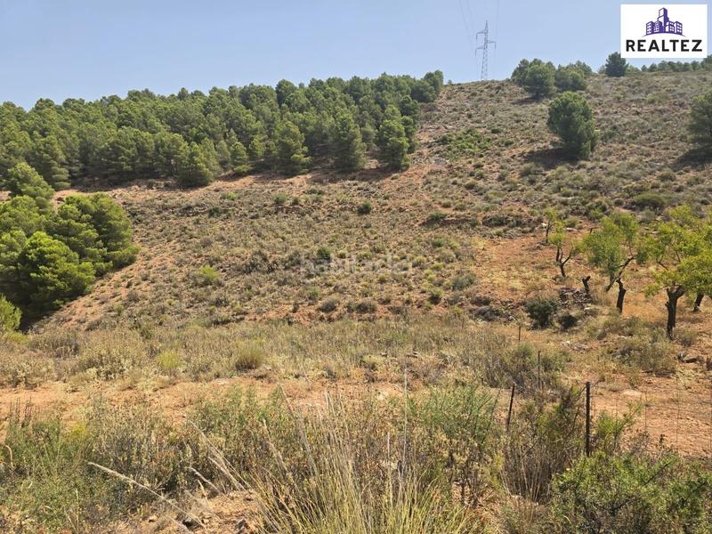 Foto 37efde91-d9e8-4caf-bd19-427c33fff2a3. Finca rústica oportunidad única en la alpujarra almeriense en Alcolea