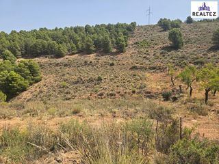 Rural plot in Alcolea. Oportunidad única en la alpujarra almeriense