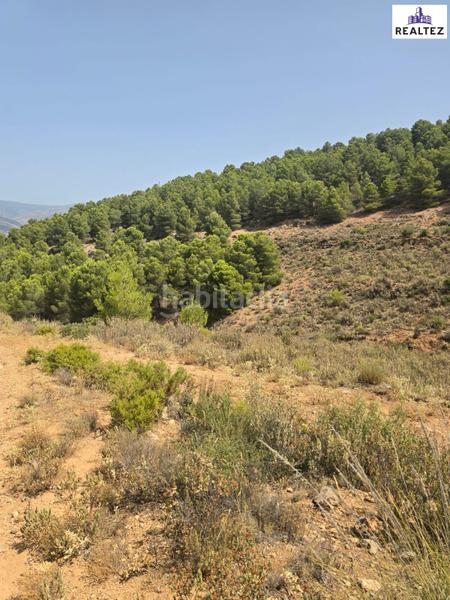 Foto 9a14b360-4a5e-47d2-a49d-57653c6ec2ce. Finca rústica oportunidad única en la alpujarra almeriense en Alcolea