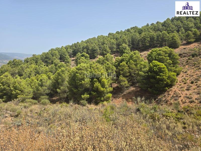 Foto a333b674-419c-4d91-9130-bcb7c8fa52ae. Finca rústica oportunidad única en la alpujarra almeriense en Alcolea