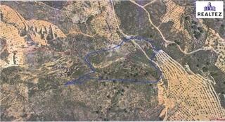 Rural plot in Alcolea
