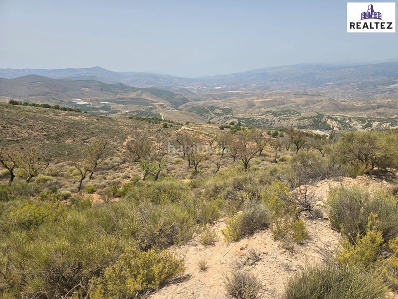 Foto a5aa167c-3dcd-4ee9-a56e-d66323d22bc4. Finca rústica a Alcolea