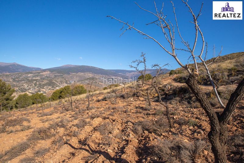Foto 1a4cabe8-d170-487b-b082-191465308dab. Fondo rustico in Alcolea