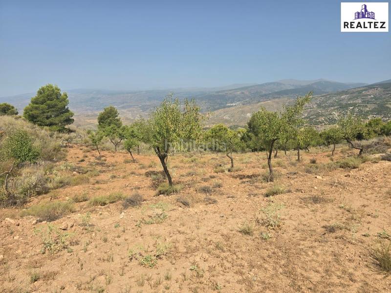 Foto 4824e5eb-f548-4784-9db4-ab79069b5915. Finca rústica a Alcolea