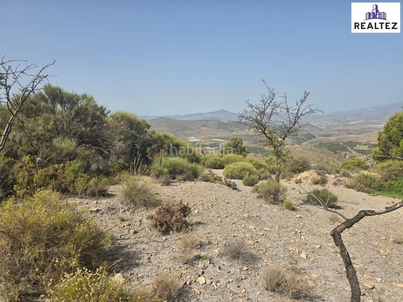 Foto 8b7932ea-6a36-4bc1-9d11-50daeb5f2816. Fondo rustico in Alcolea