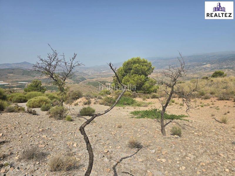 Foto 8beb6a1d-ebeb-4cef-824e-f29723ce4b43. Fondo rustico in Alcolea