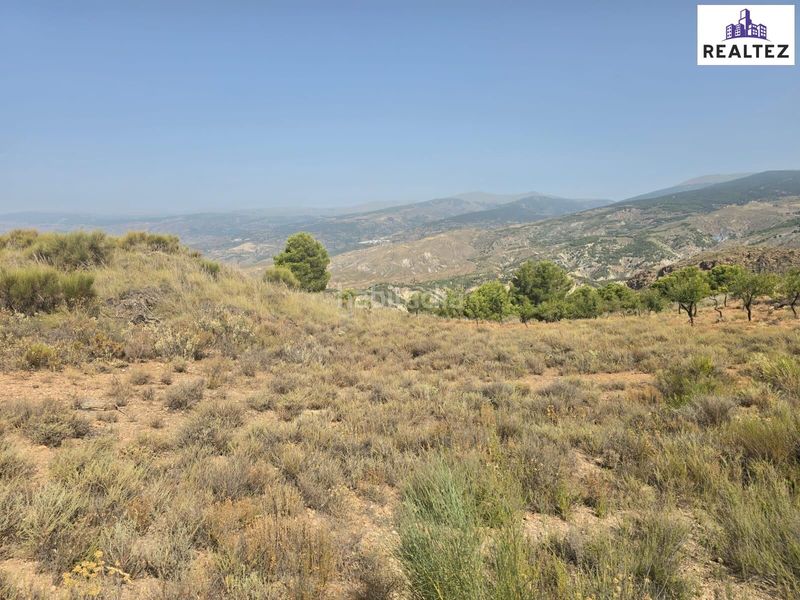Foto 902f1d43-282a-4e48-9d7e-f67da610b33f. Fondo rustico in Alcolea