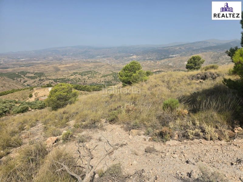 Foto 9186fa67-0455-4894-958d-7d5c6362153b. Fondo rustico in Alcolea