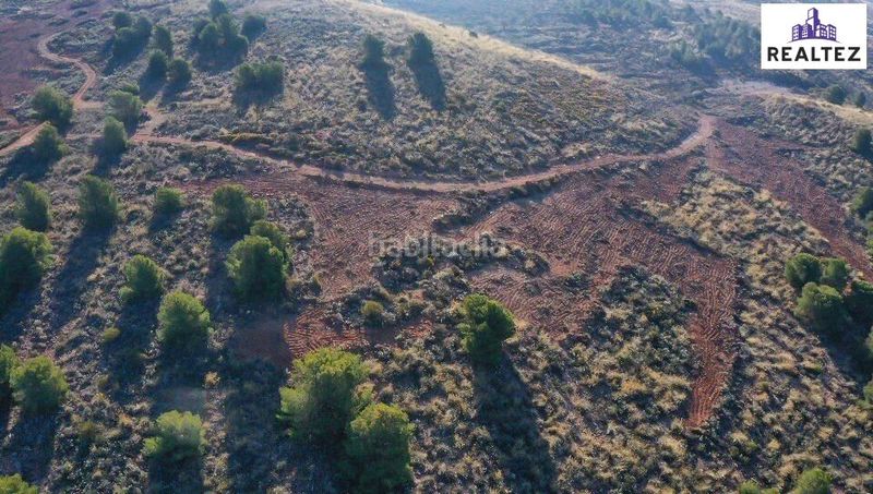 Foto 967744f8-7229-41e9-b587-3283155e9bf6. Fondo rustico in Alcolea