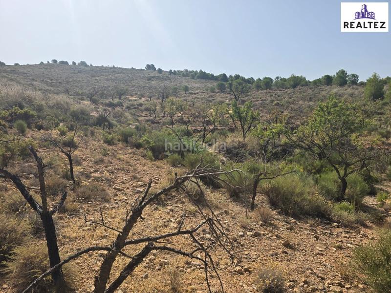 Foto a063cd81-3f70-4c76-9437-b723266e74d6. Finca rústica a Alcolea