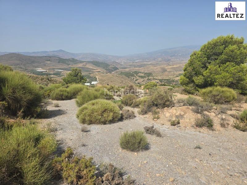 Foto b99a45ff-d1c1-4f60-b0f6-252216c5cda0. Finca rústica a Alcolea