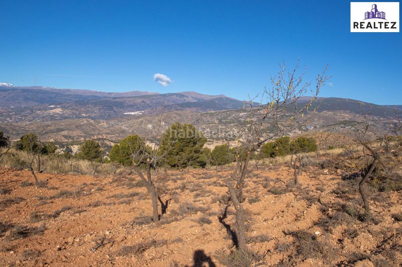 Foto bfd01ad6-22c5-41d9-95c9-efb0ee6a5bee. Fondo rustico in Alcolea