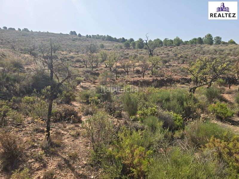 Foto db950f9a-7205-41c1-8595-f59630321b32. Fondo rustico in Alcolea