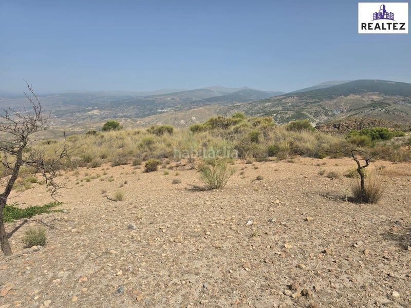 Foto f34e81e8-4497-4332-95ac-189f56c2cc8e. Fondo rustico in Alcolea