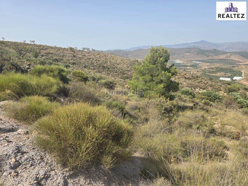 Foto f4ad335d-ad96-4f3d-b356-57ed0659ce9c. Finca rústica a Alcolea