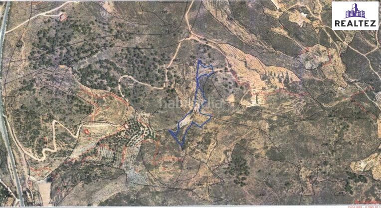 Foto f8f8367b-c134-4779-9cba-cce1b3a164fe. Fondo rustico in Alcolea