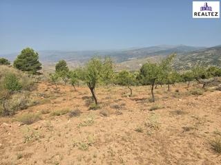 Propriété à Alcolea. Terreno rústico en alcolea  10.839 m en plena alpujarra almerien