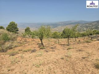 Rural plot in Alcolea. Terreno rústico en alcolea  10.839 m2 en plena alpujarra almerie