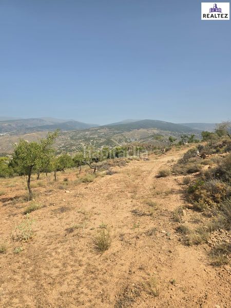 Foto 412730cd-7c80-42fa-93a5-4309d9f46035. Finca rústica a Alcolea