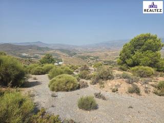 Propriété à Alcolea