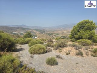 Rural plot in Alcolea