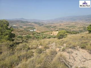 Rural plot in Alcolea