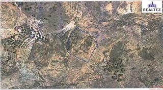 Rural plot in Alcolea