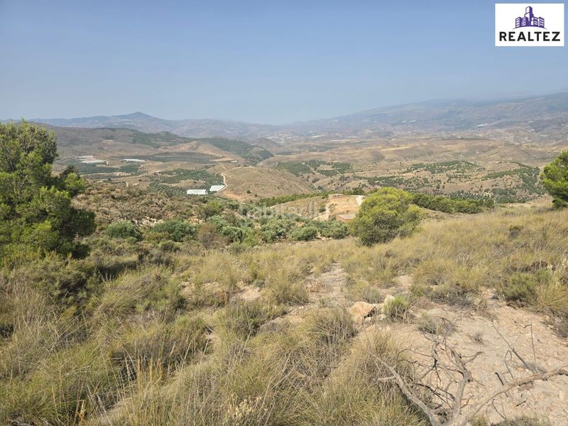 Foto 191ffc65-1a44-45eb-928d-e4bb405e8a60. Finca rústica a Alcolea