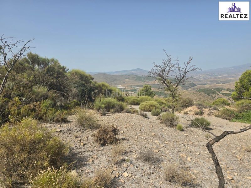 Foto 1b909c2d-69cb-4afb-9244-2f2fcf507cc6. Finca rústica a Alcolea