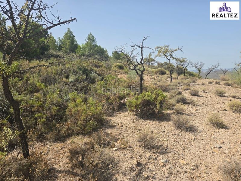 Foto 29b56d40-aa93-4b57-a95b-3a8a3d1c3283. Finca rústica a Alcolea