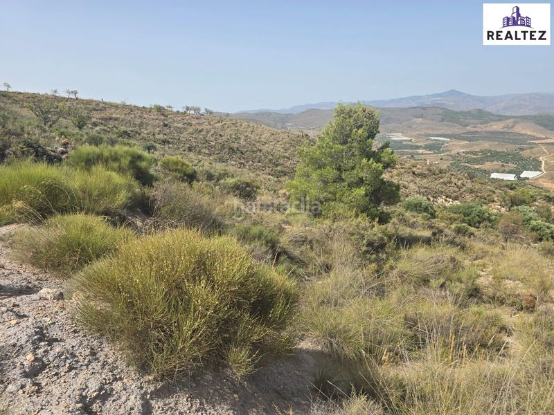 Foto 2ac2c674-ada8-4246-9f81-ab4ad32f02e5. Finca rústica a Alcolea