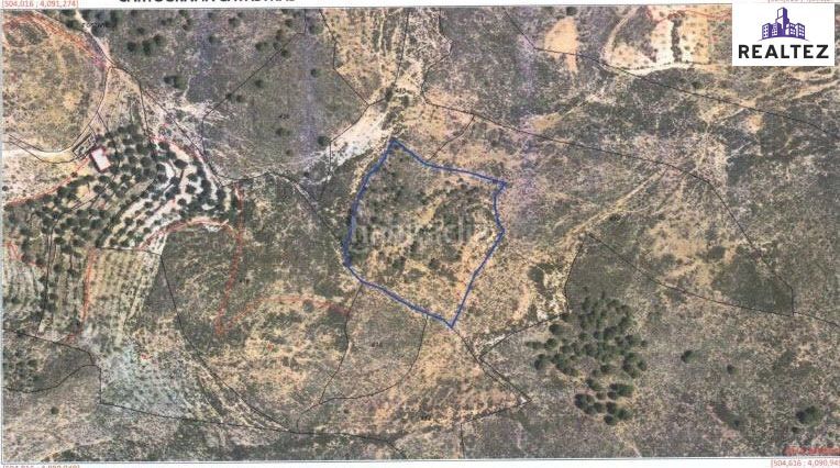 Foto 5bb23a4b-81c7-4fce-8d15-db026722800a. Finca rústica a Alcolea