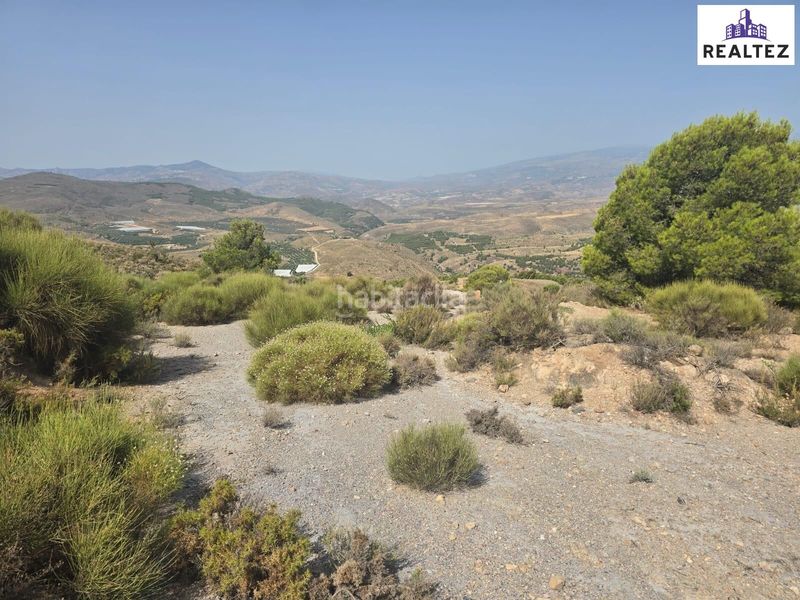 Foto b3a7a501-4003-4495-b9ee-571cb7ccb943. Finca rústica a Alcolea