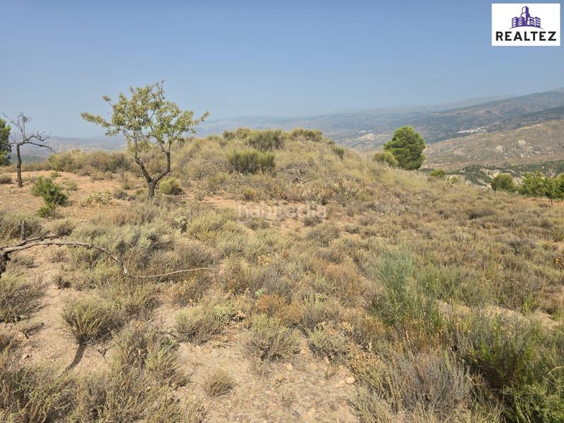 Foto bb9c56b1-68eb-44bd-ab67-bef50313e6b4. Finca rústica a Alcolea