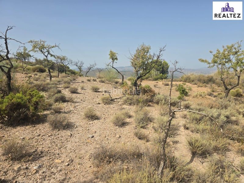 Foto dd1a0042-67f6-40fd-98e7-f969ef7fb130. Finca rústica a Alcolea