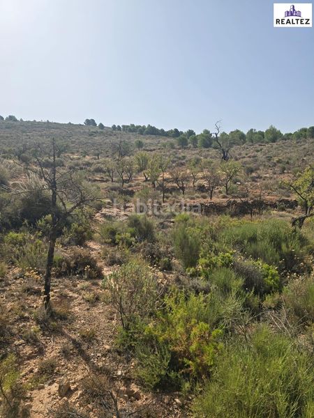 Foto 026ff736-43e0-423b-8325-3c4d17555b34. Finca rústica a Alcolea