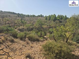 Rural plot in Alcolea. Finca rústica en venta en plena alpujarra almeriense