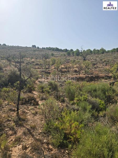 Foto 837053a6-c1a4-45c1-ba9d-5799e1637f70. Propriété dans Alcolea